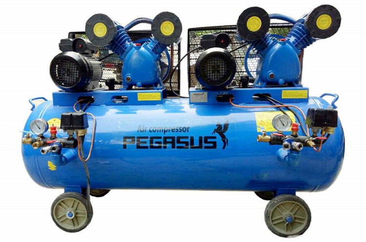 may-nen-khi-pegasus-tm-v-0-25-12-5x2-230-lit-1